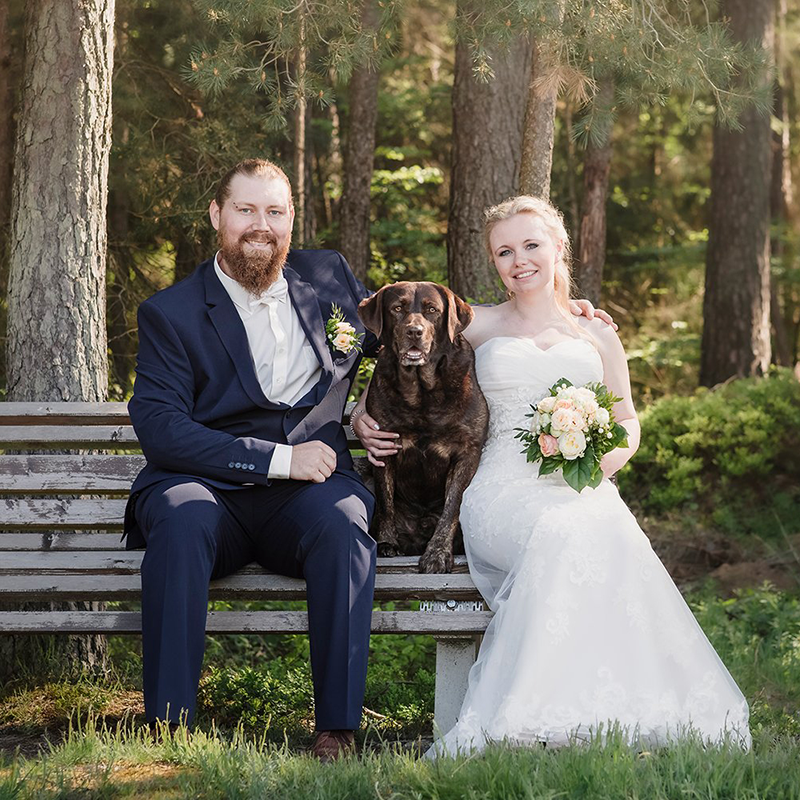 Hochzeitsfoto von einem Brautpaar im Wald auf einer Bank mit braunem Labrador